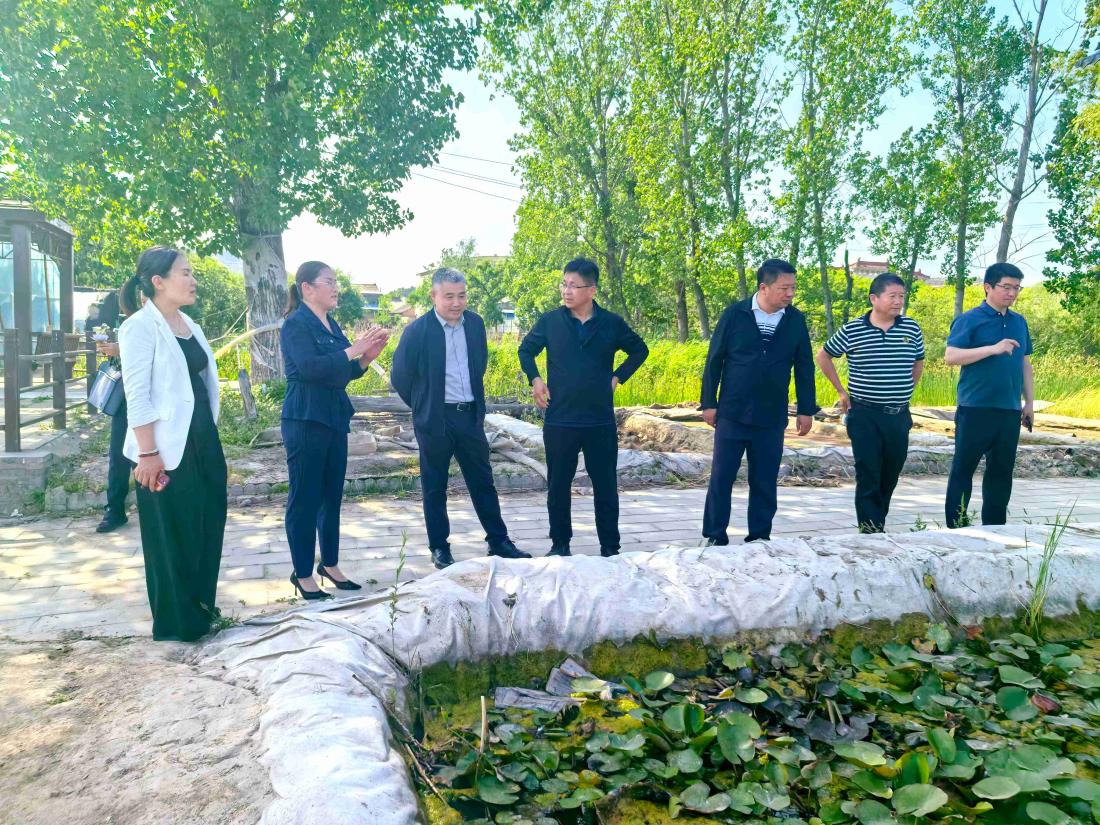 考察调研莲菜种植文化(1).jpg