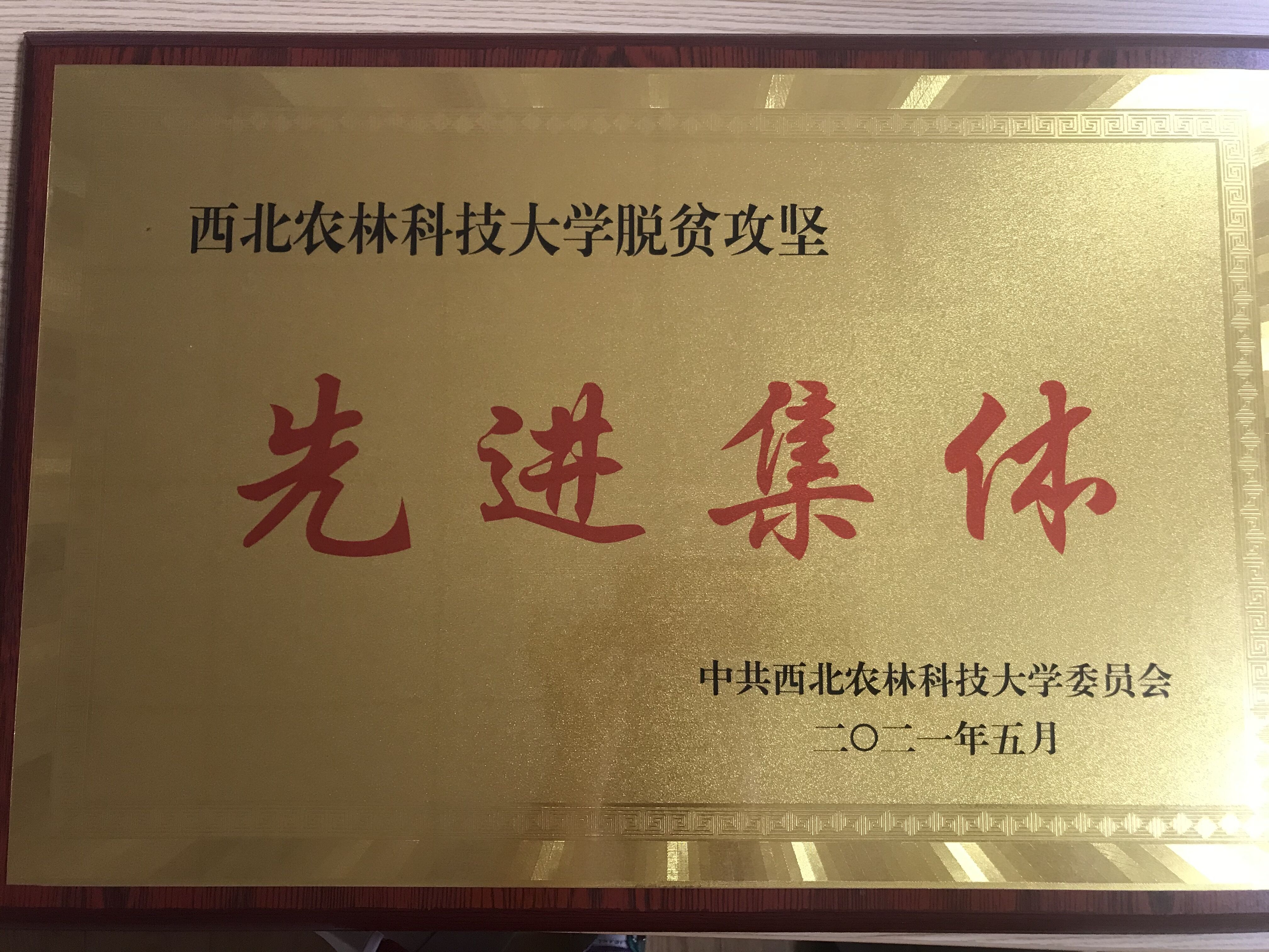 4183751bad3b4d31a6ab2be7566df2d1.jpg 4183751bad3b4d31a6ab2be7566df2d1.jpg