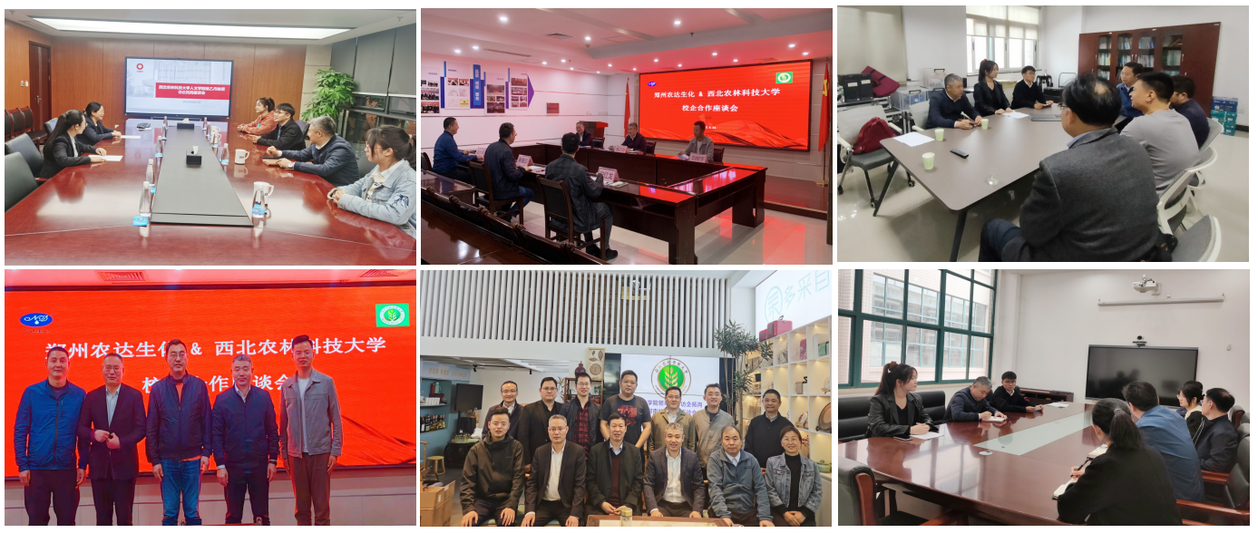 2b295b6e7eb64e5c96187370f1704c60.jpg 2b295b6e7eb64e5c96187370f1704c60.jpg